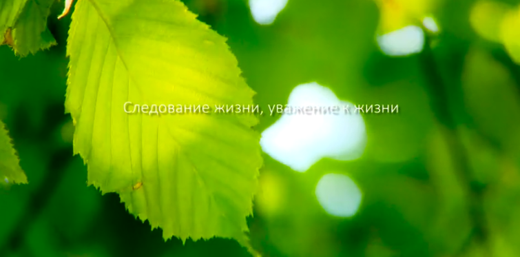 BB贝博集团形象片（русский）