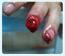 首页-BB贝博艾弗森公司官网