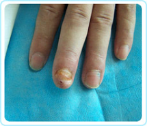 首页-BB贝博艾弗森公司官网