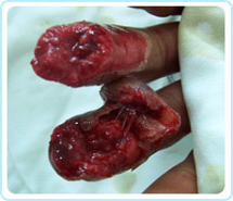 首页-BB贝博艾弗森公司官网