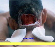 首页-BB贝博艾弗森公司官网