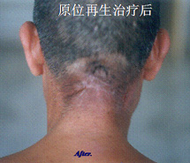 首页-BB贝博艾弗森公司官网