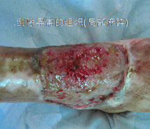 首页-BB贝博艾弗森公司官网