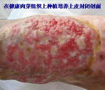 首页-BB贝博艾弗森公司官网