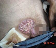 首页-BB贝博艾弗森公司官网