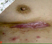 首页-BB贝博艾弗森公司官网