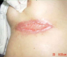 首页-BB贝博艾弗森公司官网