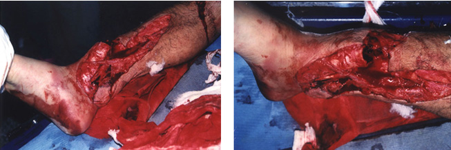 首页-BB贝博艾弗森公司官网