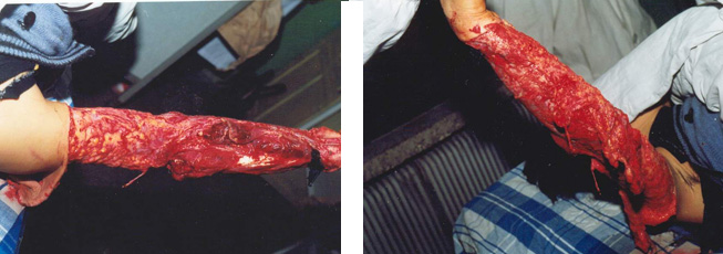 首页-BB贝博艾弗森公司官网