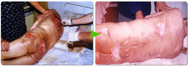 首页-BB贝博艾弗森公司官网