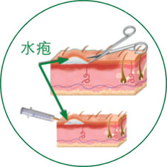 首页-BB贝博艾弗森公司官网