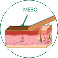 首页-BB贝博艾弗森公司官网