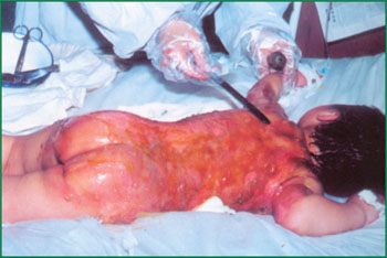 首页-BB贝博艾弗森公司官网