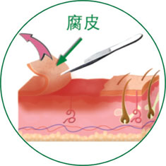 首页-BB贝博艾弗森公司官网