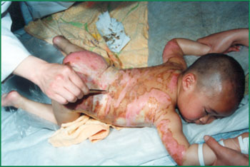 首页-BB贝博艾弗森公司官网