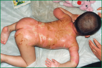 首页-BB贝博艾弗森公司官网