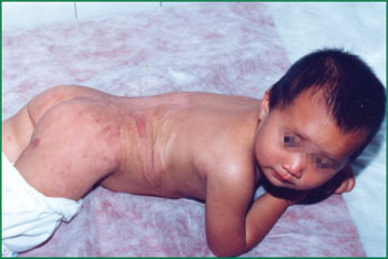 首页-BB贝博艾弗森公司官网