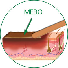 首页-BB贝博艾弗森公司官网