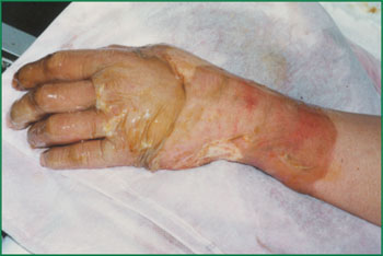 首页-BB贝博艾弗森公司官网