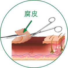 首页-BB贝博艾弗森公司官网