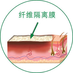 首页-BB贝博艾弗森公司官网