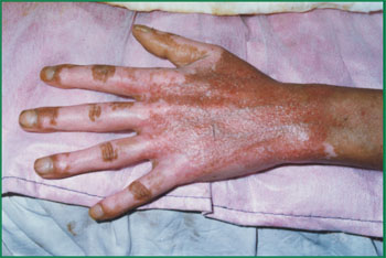 首页-BB贝博艾弗森公司官网