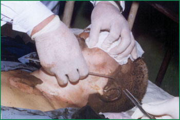 首页-BB贝博艾弗森公司官网