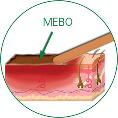 首页-BB贝博艾弗森公司官网
