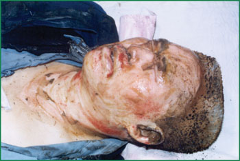 首页-BB贝博艾弗森公司官网