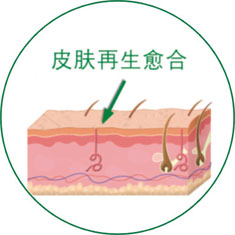 首页-BB贝博艾弗森公司官网