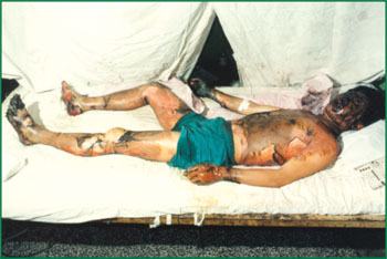 首页-BB贝博艾弗森公司官网