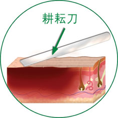首页-BB贝博艾弗森公司官网