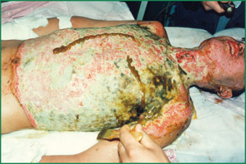 首页-BB贝博艾弗森公司官网