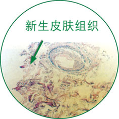 首页-BB贝博艾弗森公司官网