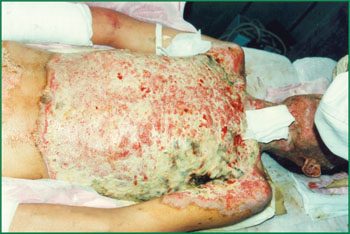 首页-BB贝博艾弗森公司官网