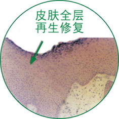 首页-BB贝博艾弗森公司官网