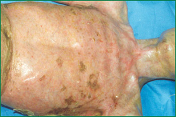 首页-BB贝博艾弗森公司官网