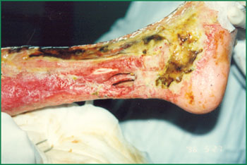 首页-BB贝博艾弗森公司官网