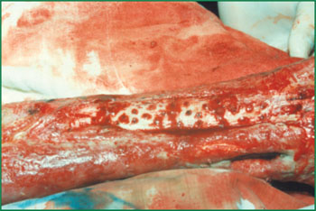 首页-BB贝博艾弗森公司官网