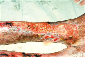 首页-BB贝博艾弗森公司官网