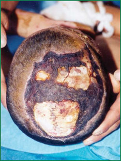 首页-BB贝博艾弗森公司官网