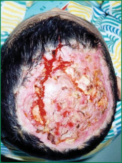 首页-BB贝博艾弗森公司官网