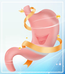 首页-BB贝博艾弗森公司官网