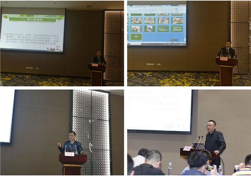 首页-BB贝博艾弗森公司官网