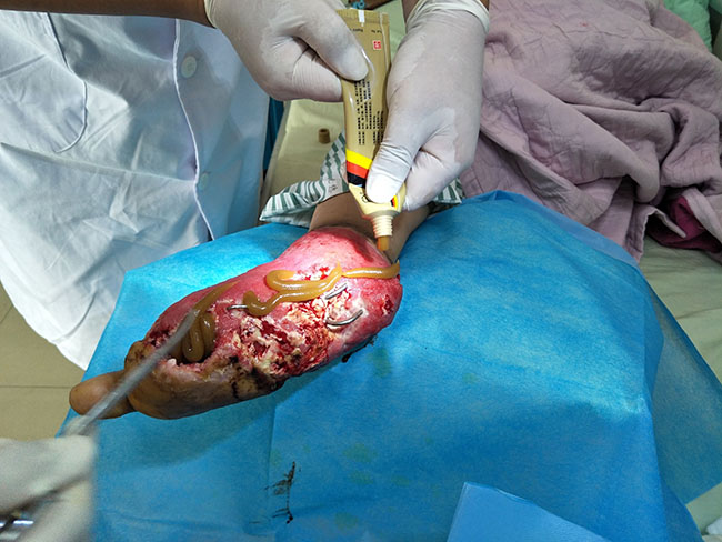 首页-BB贝博艾弗森公司官网