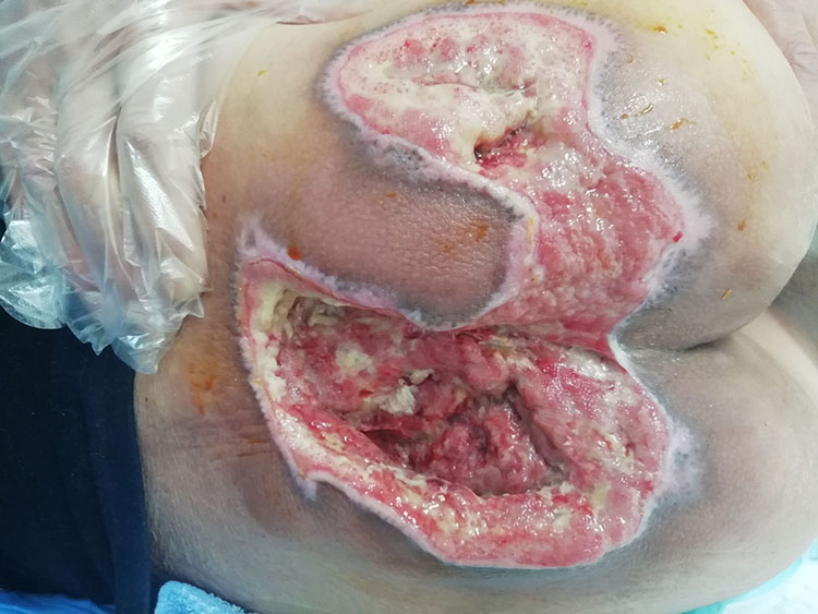 首页-BB贝博艾弗森公司官网