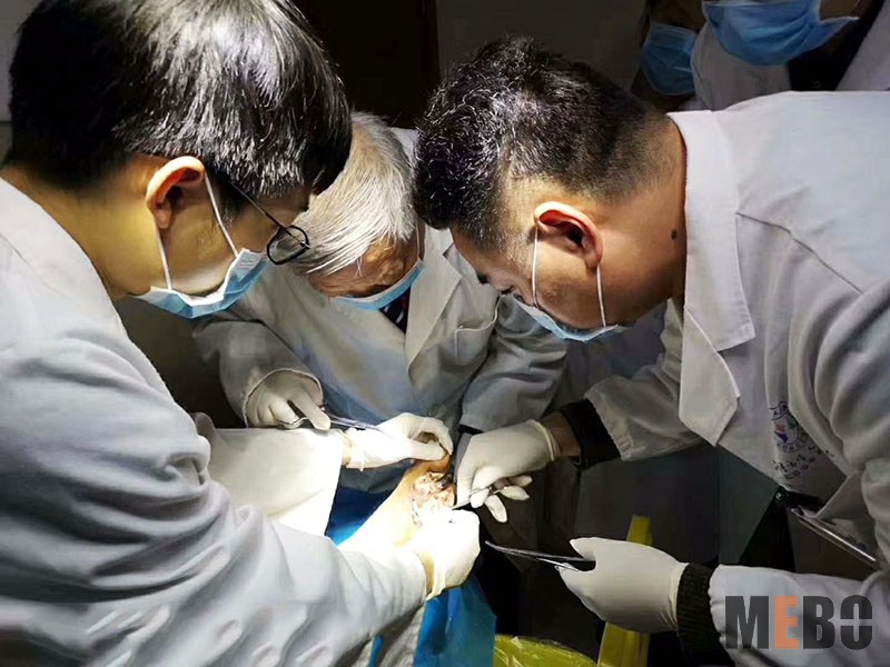 首页-BB贝博艾弗森公司官网