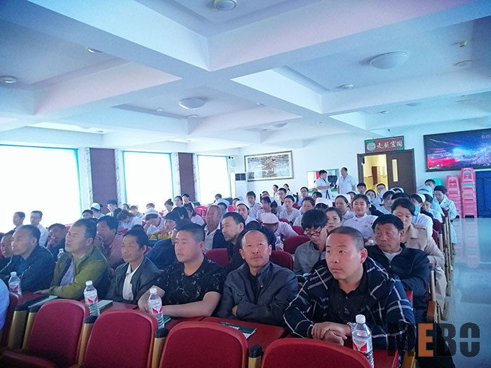 首页-BB贝博艾弗森公司官网