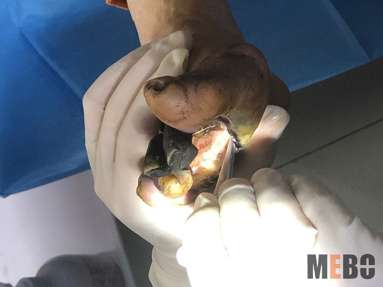 首页-BB贝博艾弗森公司官网