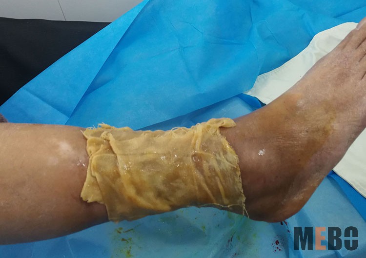 首页-BB贝博艾弗森公司官网